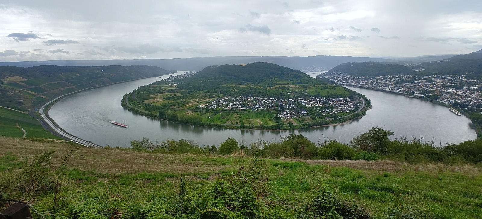 Die Rheinschleife
